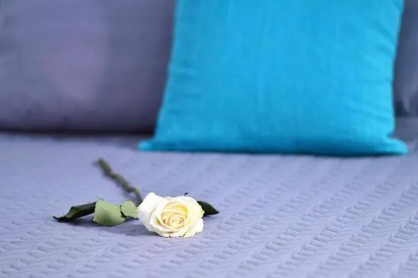 Blue Heart Mykonos Up To 10 People Location Mykonos Town