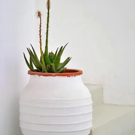 Дом отдыха Blue Heart Mykonos Up To 10 People Location